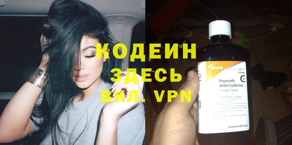 шишки Сатка
