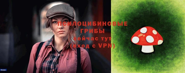 стафф Бородино