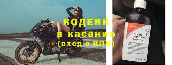 стафф Бородино