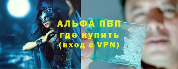 стафф Бородино
