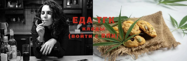 стафф Бородино