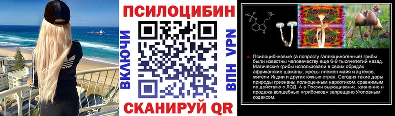 магазин    Колпашево  Галлюциногенные грибы мицелий 